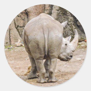 Sticker Rond Bout de rhinocéros