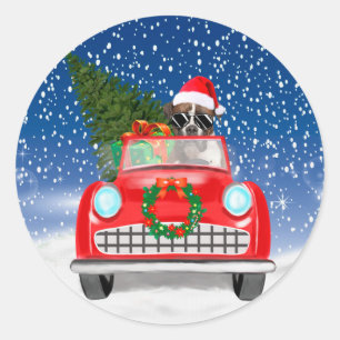 Sticker Rond Boxer Chien Conduite Voiture En Noël De Neige