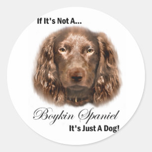 Sticker Rond Boykin Spaniel