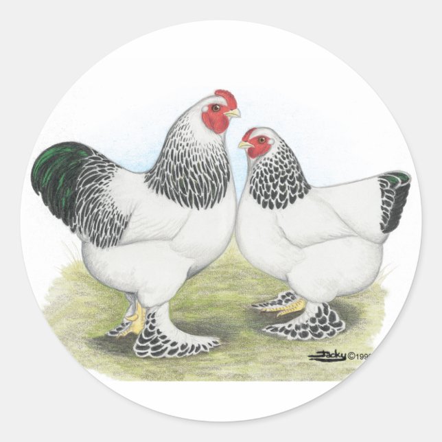 Sticker Rond Brahma : Lumière2 (Devant)