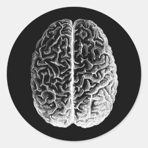 Sticker Rond Brains !