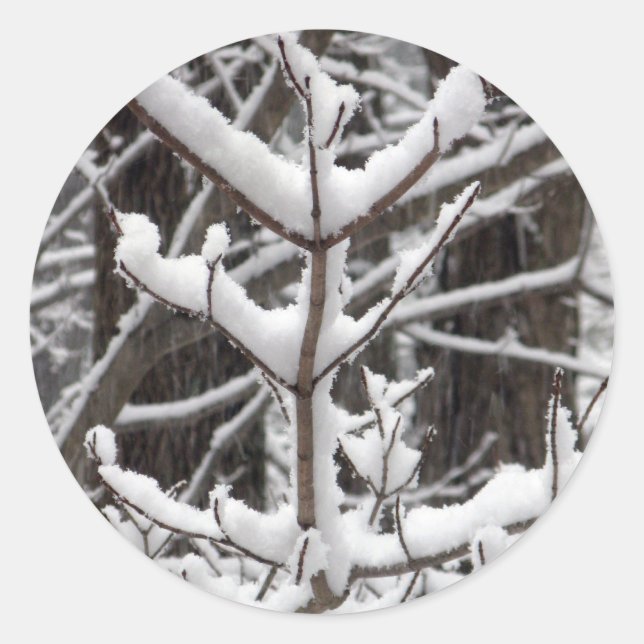 Sticker Rond Branches couvertes de neige (Devant)