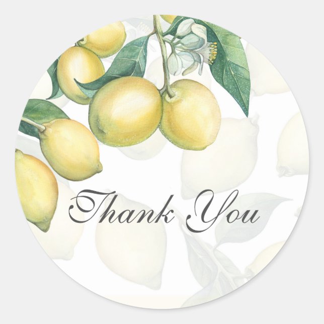 Sticker Rond Branches de citron Blanc & Jaune Pays Rustique Fav (Devant)