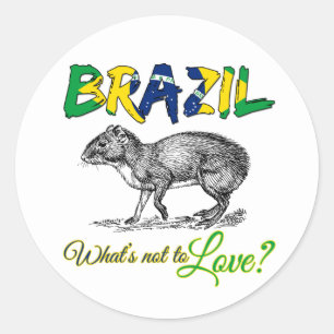 Sticker Rond Brésil - Ce qui ne va pas aimer Brasil Citation