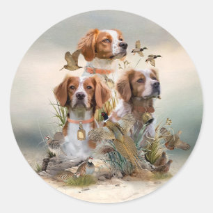 Sticker Rond Bretagne Espagnol, Passion pour les oiseaux