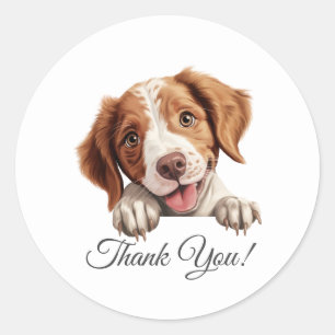 Sticker Rond Bretagne Merci chien