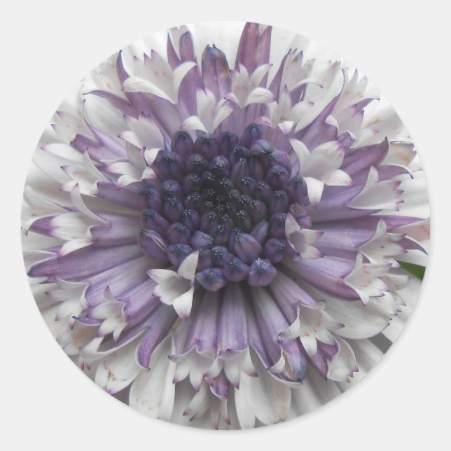 Sticker Rond Brett (Devant)