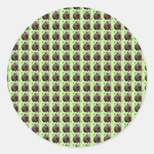 Sticker Rond Brickwork Burrow : Une toile verte de Wombat,