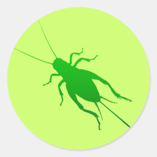 Sticker Rond Bright Green Cricket