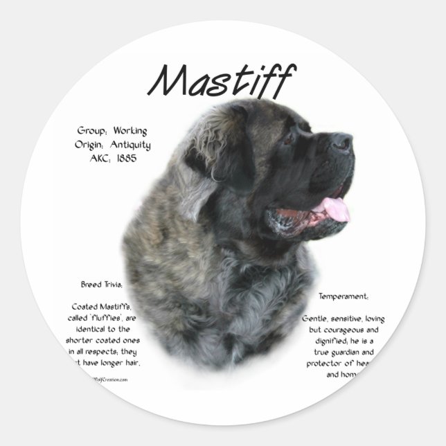 Sticker Rond Brindle Fluffy Mastiff Historique (Devant)