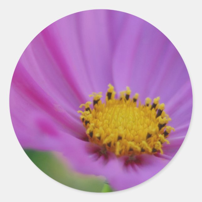 Sticker Rond Brodeur (Devant)