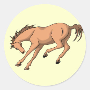 Sticker Rond Bronco