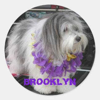 STICKER ROND BROOKLYN PURPLE HAWAII STICKKERS