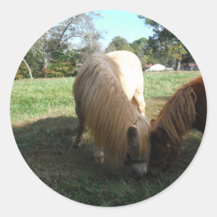 Sticker Rond Brown Blond" Chevaux miniatures"Deux Petits Poney