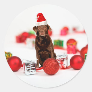 Sticker Rond Brown Labrador Chien Noël w Cadeaux Santa Hat