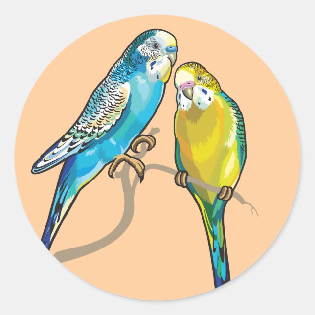 Sticker Rond budgeri (Devant)