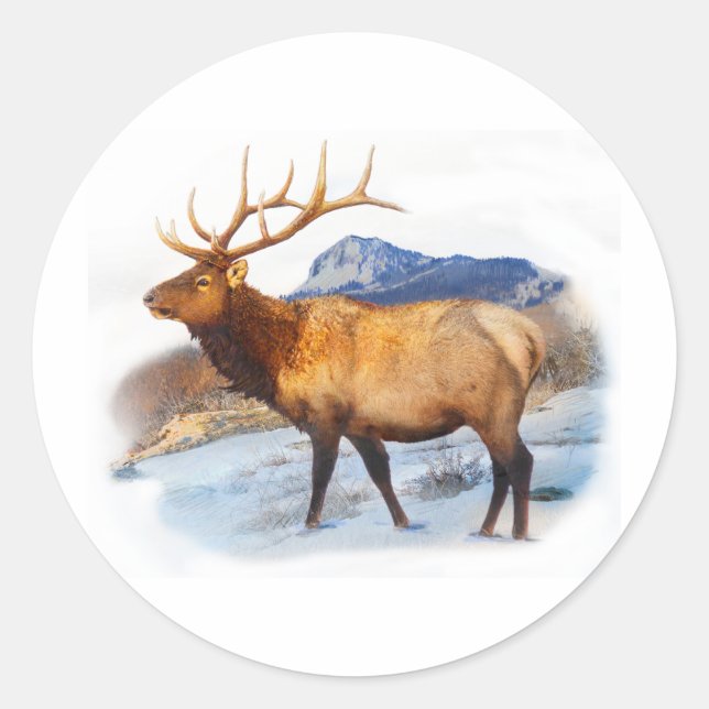 Sticker Rond bull elk t idea.pdf (Devant)