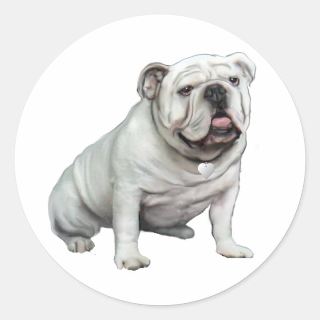 Sticker Rond Bulldog anglais - Blanc 1 (Devant)