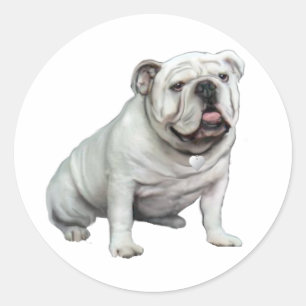 Sticker Rond Bulldog anglais - Blanc 1