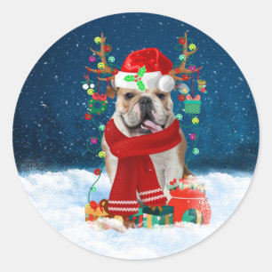 Sticker Rond Bulldog anglais en neige avec cadeaux de Noël