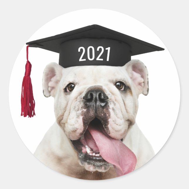 Sticker Rond Bulldog dans la casquette de graduation avec l'ann (Devant)