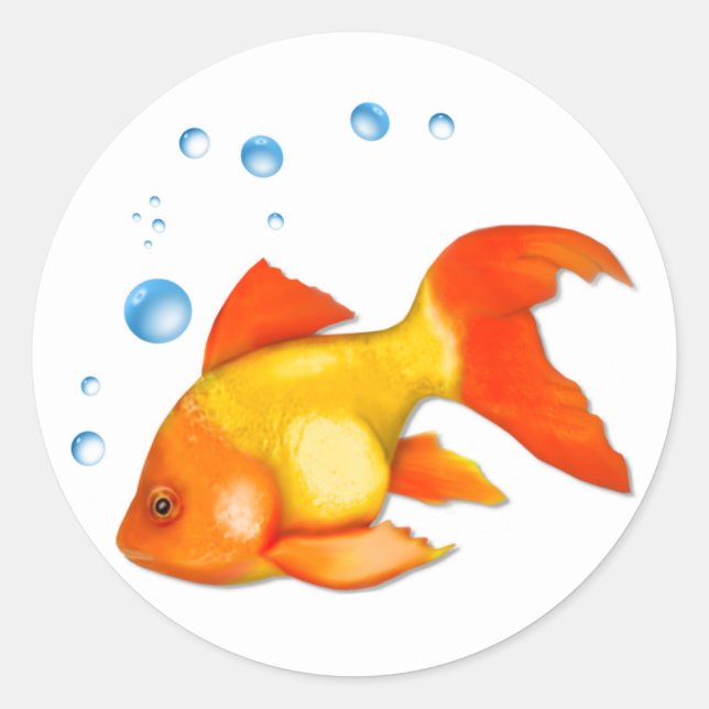 Sticker Rond Bulles du poisson rouge (Devant)