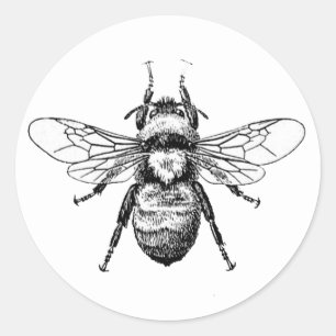 Sticker Rond Bumble Bee