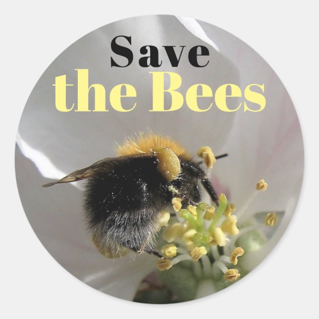 Sticker Rond Bumble Bee Sauver les abeilles (Devant)