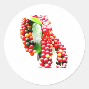 Sticker Rond Buni Berry - Fruit rare et sauvage d'Indonésie en 
