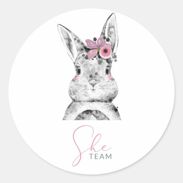 Sticker Rond Bunnies Bleu Rose Sexe Révéler Classic Rond Stic (Devant)