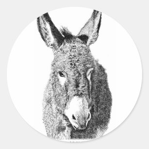Sticker Rond Burro sauvage