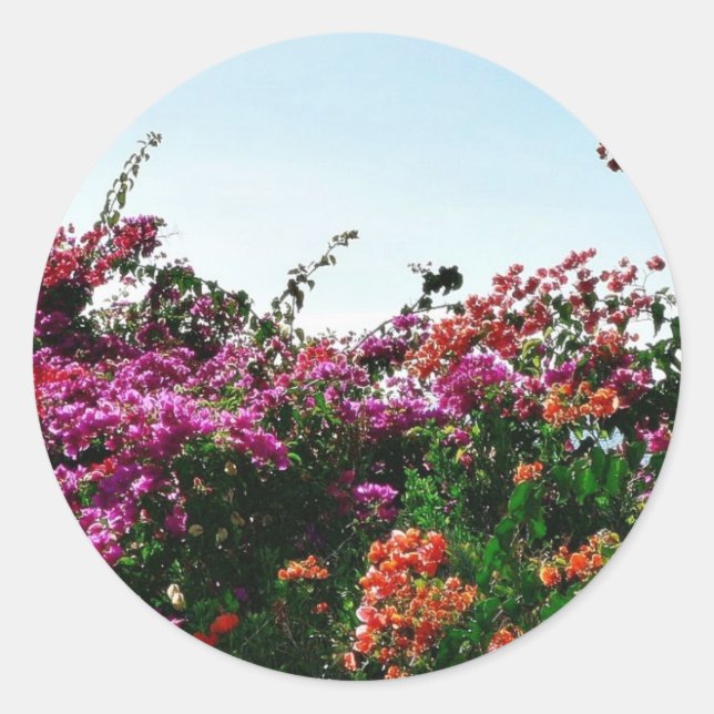 Sticker Rond Bush Aux Fleurs Rouge Violet Et Orange (Devant)