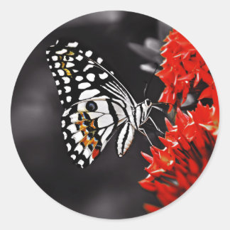 Sticker Rond Butterfly on Red Flowers