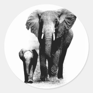 Sticker Rond BW Elephant & Baby Elephant