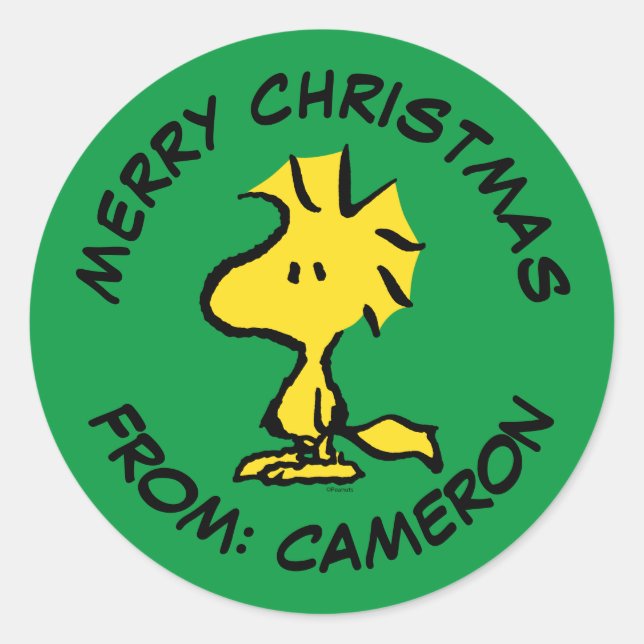 Sticker Rond cacahuètes | Bois | Joyeux Noël (Devant)