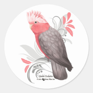 Sticker Rond Cacatoès de Galah