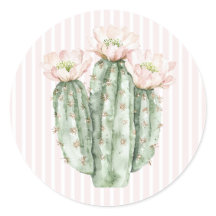 Cactus Rose du désert 