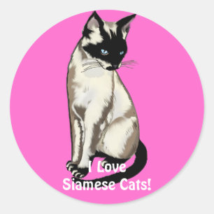 Sticker Rond Cadeaux Amoureux de les chats siamois