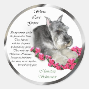 Sticker Rond Cadeaux d'art Schnauzer miniature