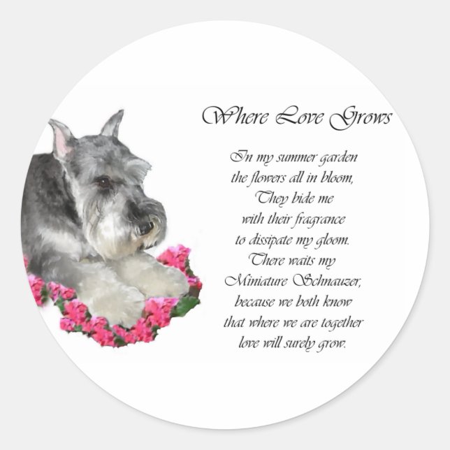 Sticker Rond Cadeaux d'art Schnauzer miniature (Devant)
