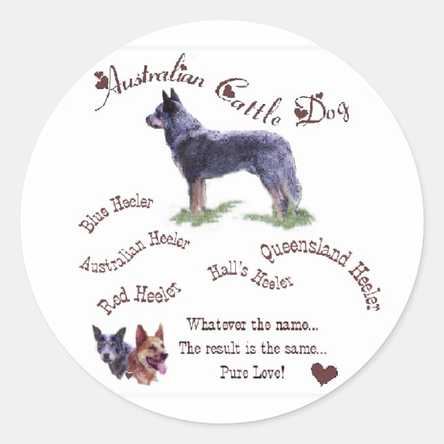 Sticker Rond Cadeaux de chien de bétail australien (Devant)