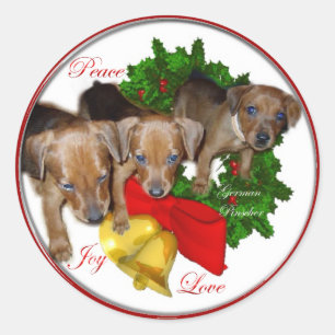 Sticker Rond Cadeaux de Noël allemand Pinscher