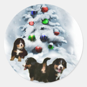 Sticker Rond Cadeaux de Noël de chiens de montagne bernois