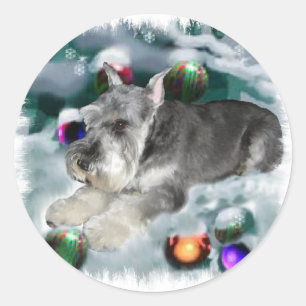 Sticker Rond Cadeaux de Noël Schnauzer Miniature