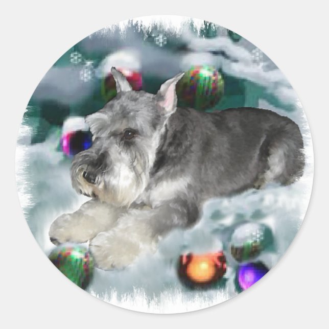Sticker Rond Cadeaux de Noël Schnauzer Miniature (Devant)