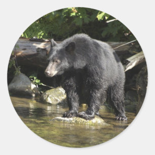 Sticker Rond Cadeaux d'ours Noir "Saumon Spots"
