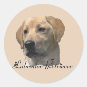Sticker Rond Cadeaux du Labrador Retriever