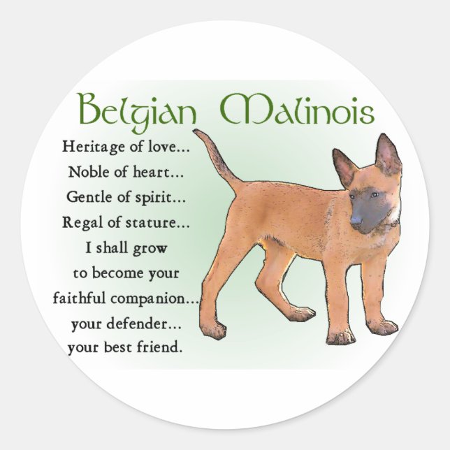 Sticker Rond Cadeaux Malinois belges (Devant)