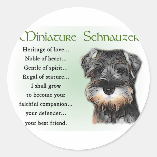 Sticker Rond Cadeaux Schnauzer miniatures (Devant)