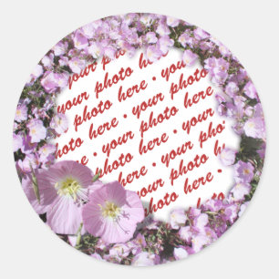 Sticker Rond Cadres photo Pink Poppies